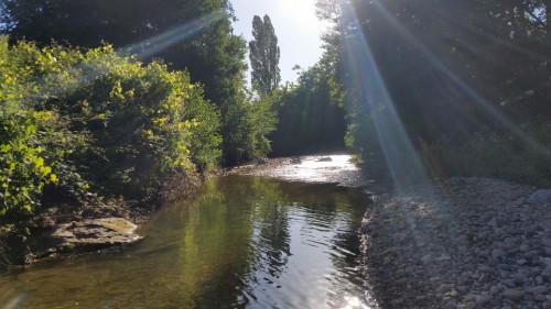 20180622_190918.jpg