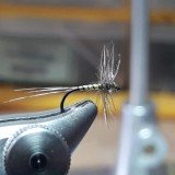20200329_171328-1024x576
