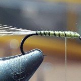20200408_152821-1024x576