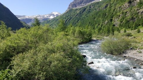 20190628_101016.jpg