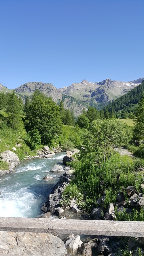 20190628_101029.jpg