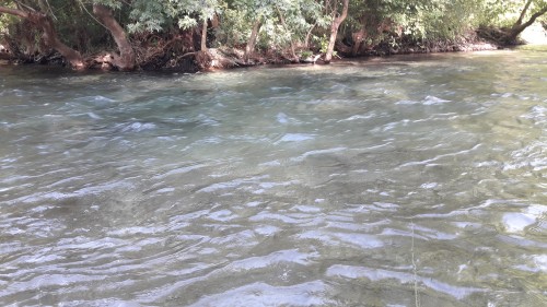 20200710_090421.jpg